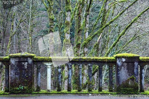 Image of Moss Covered Bridge