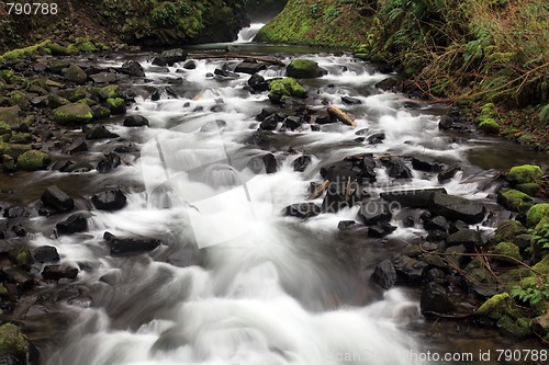 Image of Rocky Stream