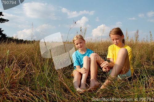 Image of Children on a meadow