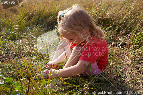 Image of Girl on a meadow