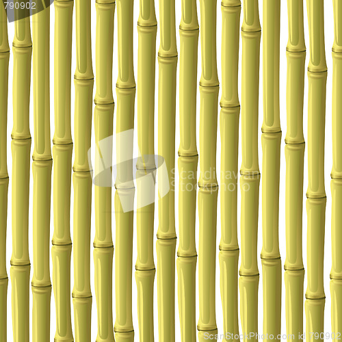 Image of Abstract bamboo background.