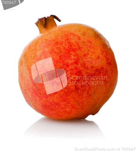 Image of One simple pomegranate