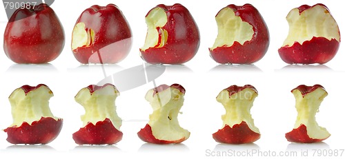 Image of Sequence of eaten apple