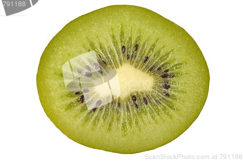 Image of Kiwi