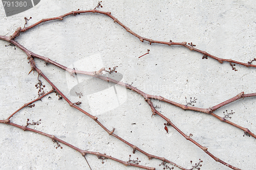 Image of Climber on concrete wall