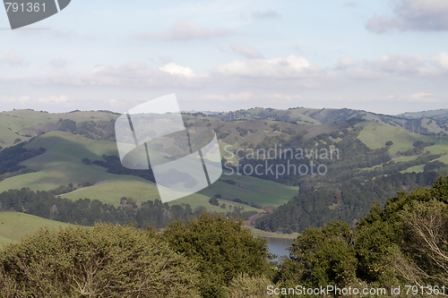 Image of Green hills with woods