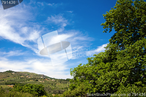 Image of Green hill, blue sky