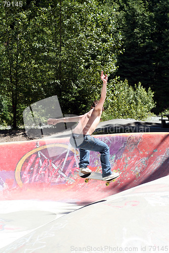 Image of skate