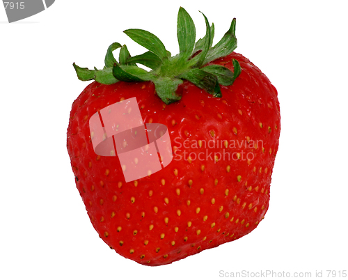 Image of A red Strawberry