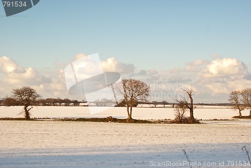 Image of Winter Scene