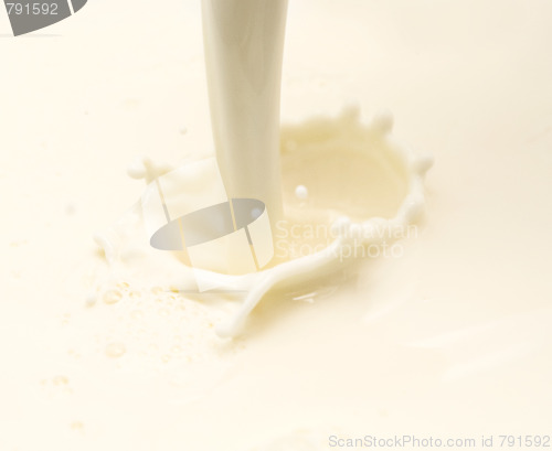 Image of milk splash