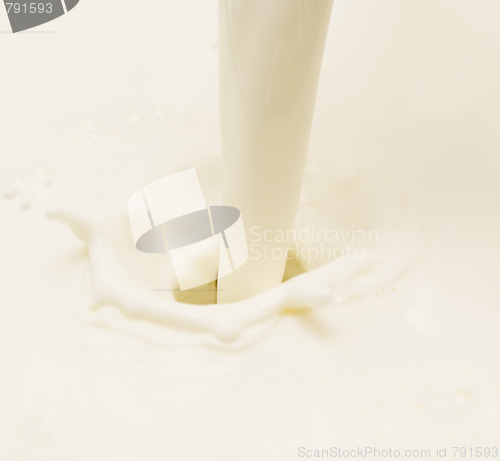 Image of milk splash