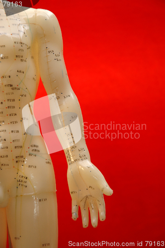 Image of Acupuncture Background