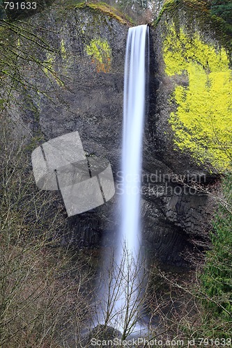 Image of Latourell Falls