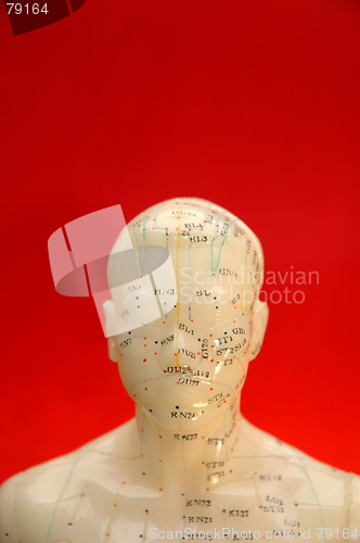 Image of Acupuncture Background