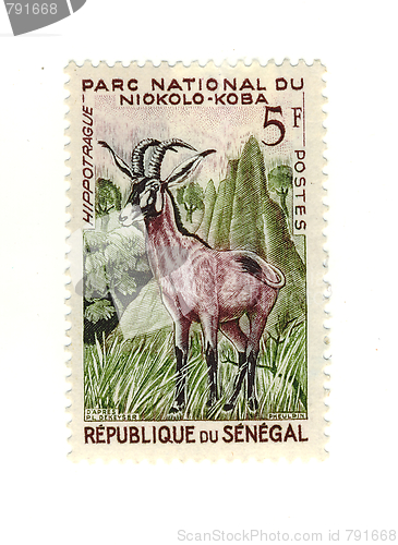 Image of senegalese stamp