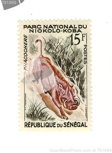 Image of senegalese stamp