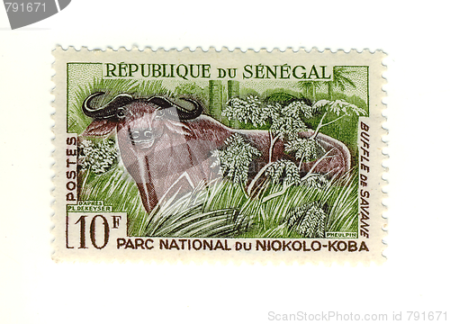 Image of senegalese stamp