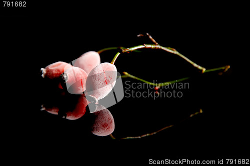 Image of Rose hips