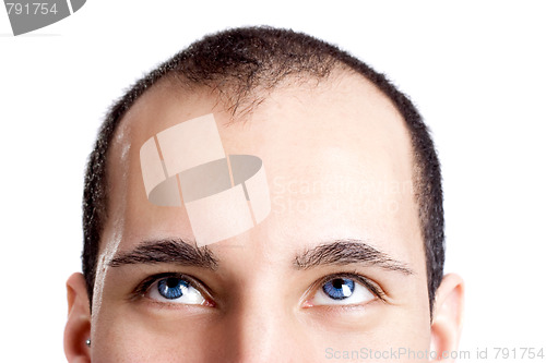 Image of Friendly eyes