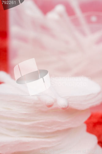 Image of pads and swabs