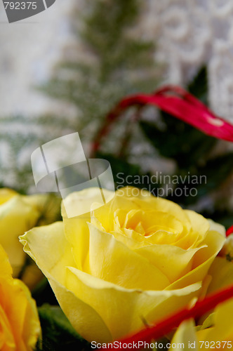 Image of Yellow roses