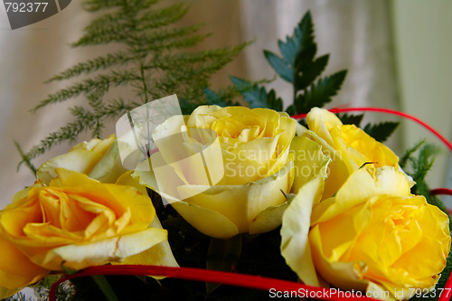 Image of Yellow roses