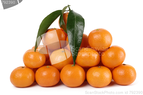 Image of Heap of ripe mandarins