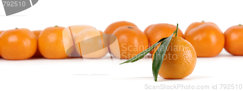 Image of Mandarins, one with leaves is standing separately