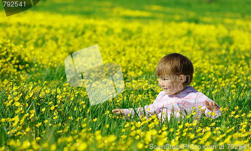 Image of Cute child play on meadow