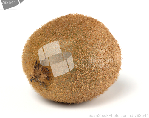 Image of Single ripe kiwi