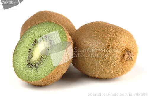 Image of Group of kiwi
