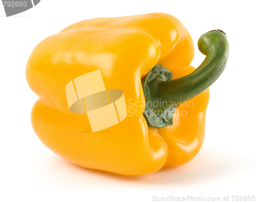 Image of Single yellow bell pepper