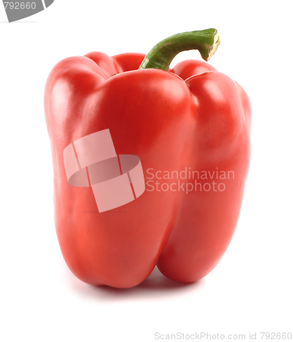 Image of Single red bell pepper