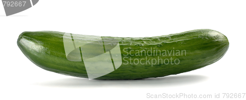 Image of Single cucumber