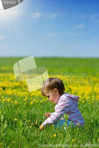 Image of Child play on the meadow
