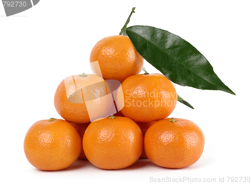 Image of Heap of ripe mandarins