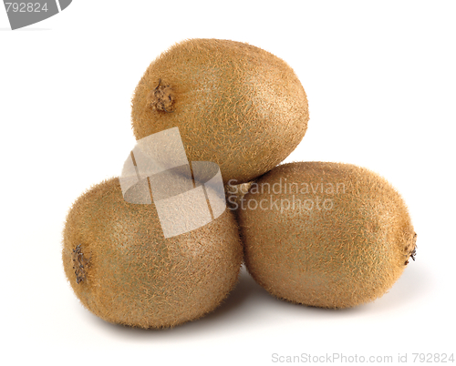 Image of Group of ripe kiwi