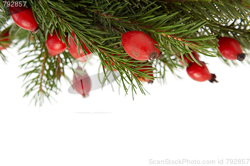 Image of Red-green christmas arragement