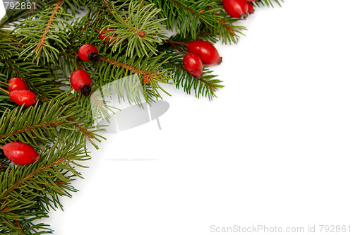 Image of Red-green christmas arragement