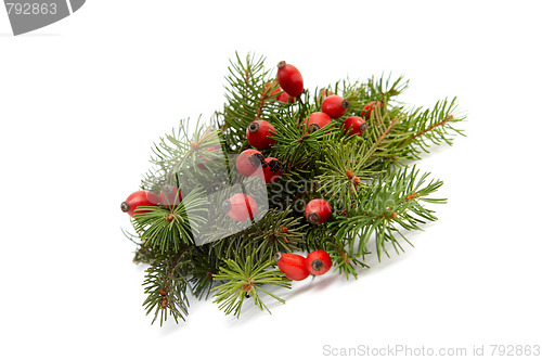 Image of Red-green christmas arragement