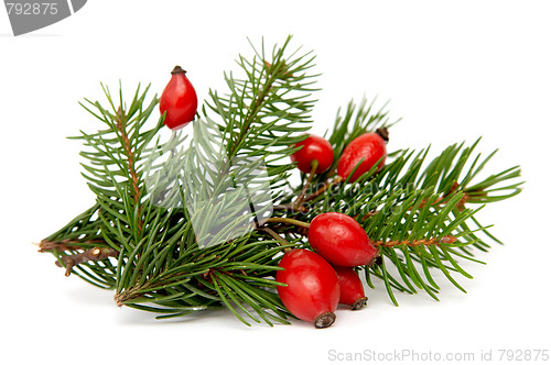 Image of Red-green christmas arragement