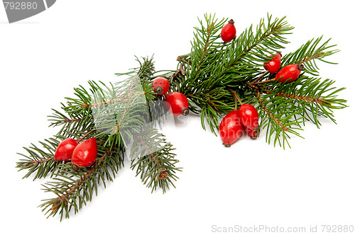 Image of Red-green christmas arragement