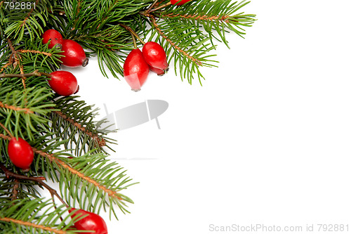 Image of Red-green christmas arragement