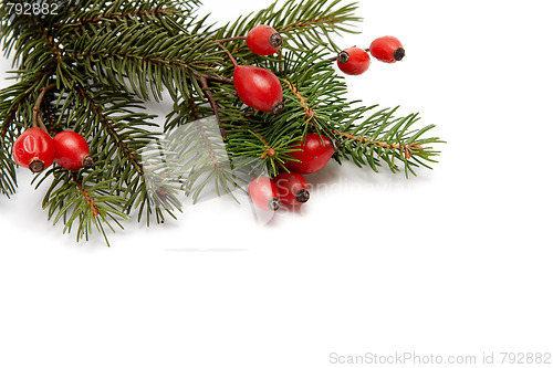 Image of Red-green christmas arragement