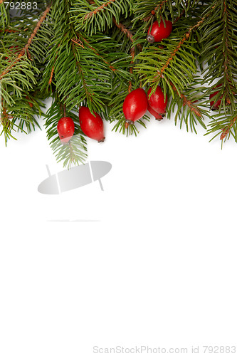 Image of Red-green christmas arragement