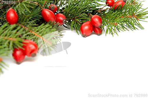 Image of Red-green christmas arragement