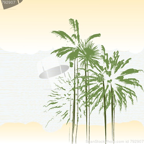 Image of palm trees