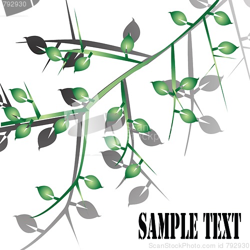 Image of foliage