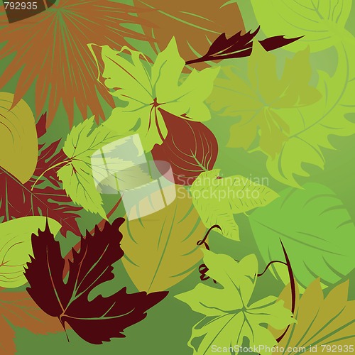 Image of repeating leaf background